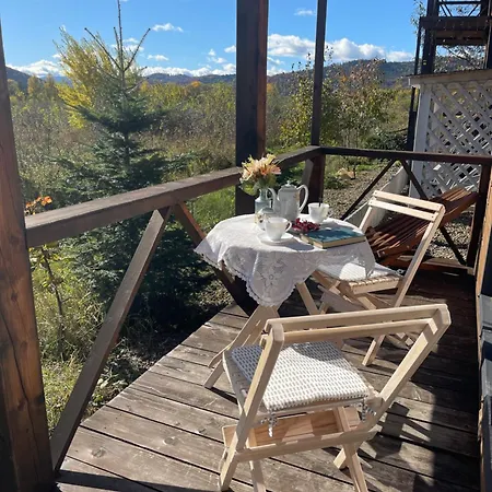 Apartment Doichman-relax карпати - сучасний для відпочинку, чан, баня, зона Bbq