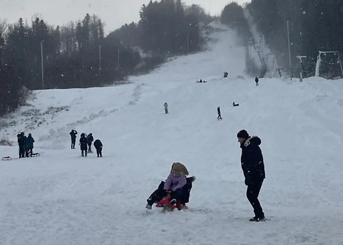 Doichman-relax карпати - сучасний для відпочинку
